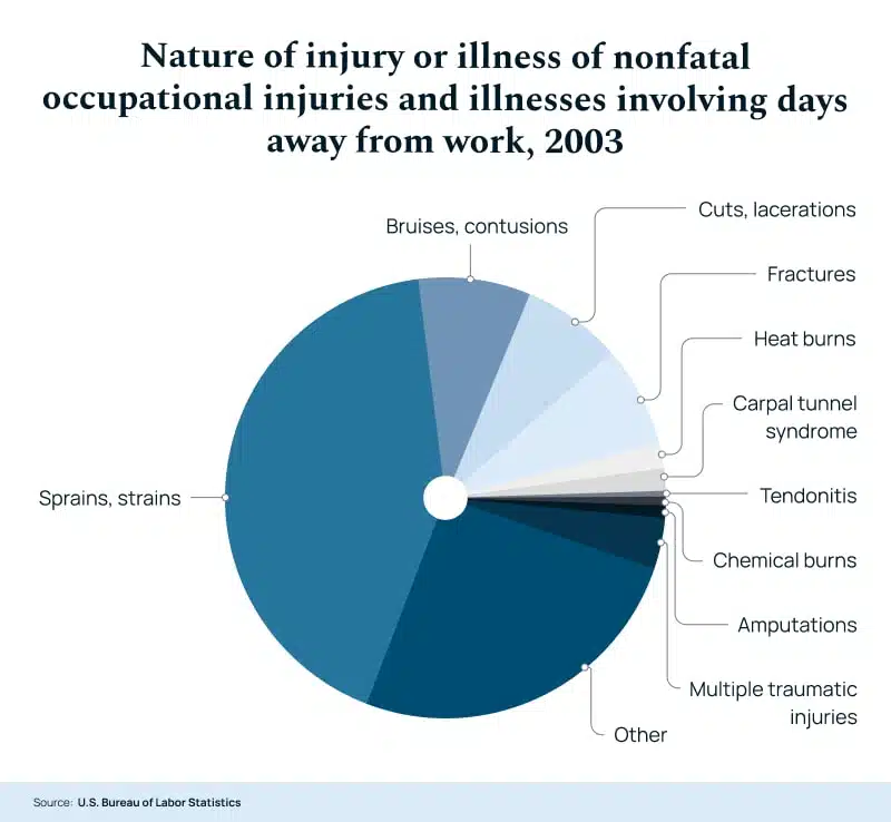 Nature Of Injury Or Illness Of Nonfatal Occupational Injuries And Illnesses Involving Days Away From Work, 2003